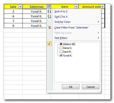 Excel_2010_Data_tab_5